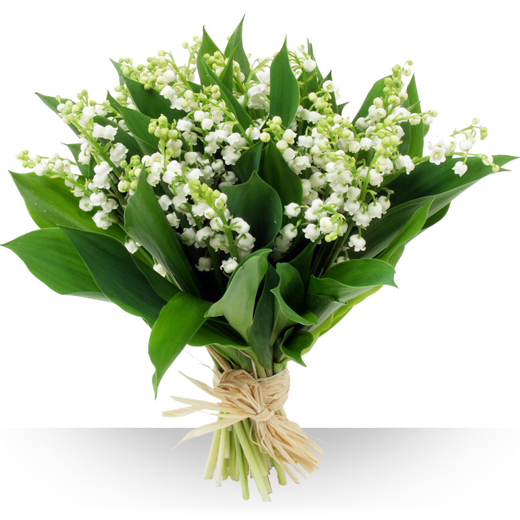 Morlighem muguet